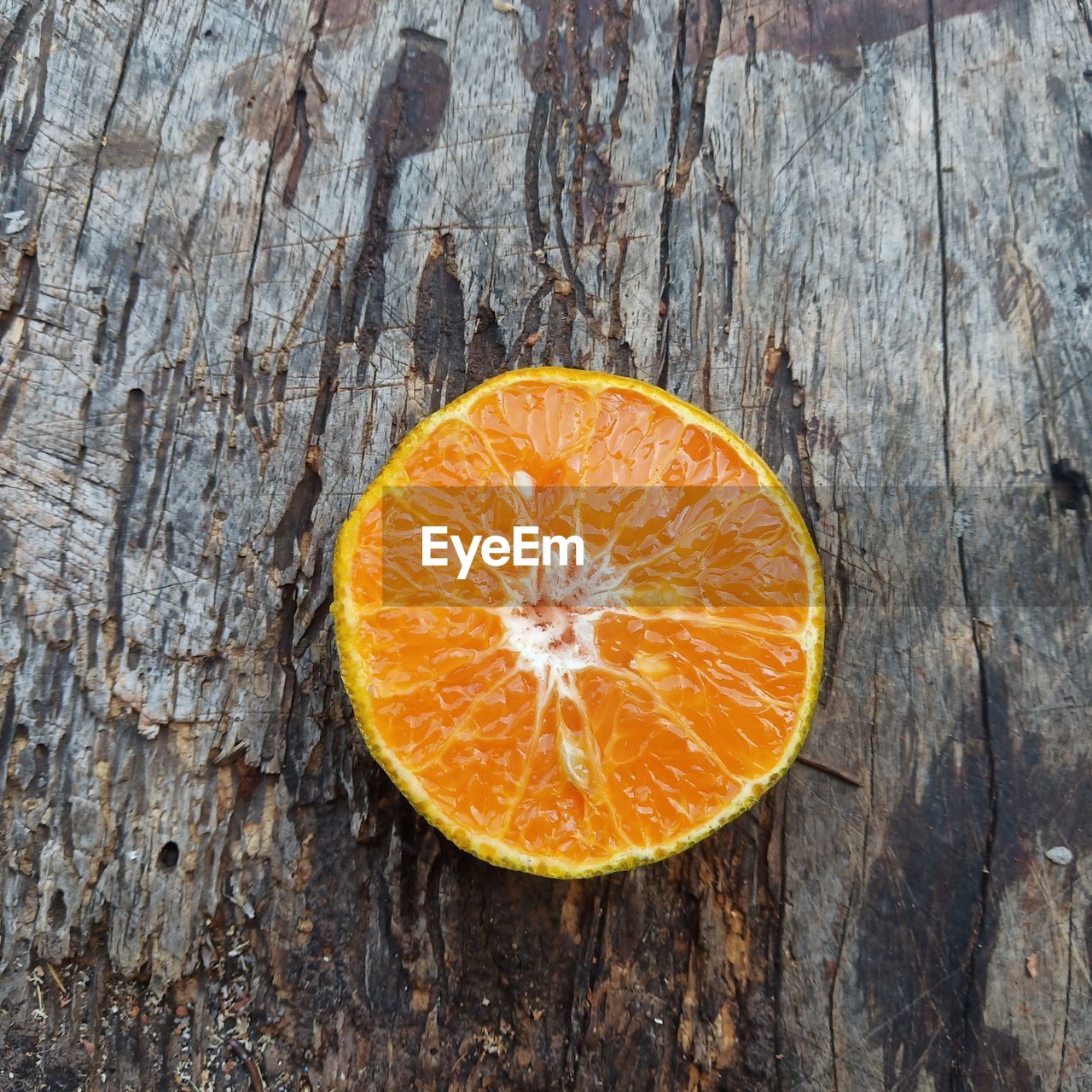 CLOSE-UP OF ORANGE SLICE ON TREE