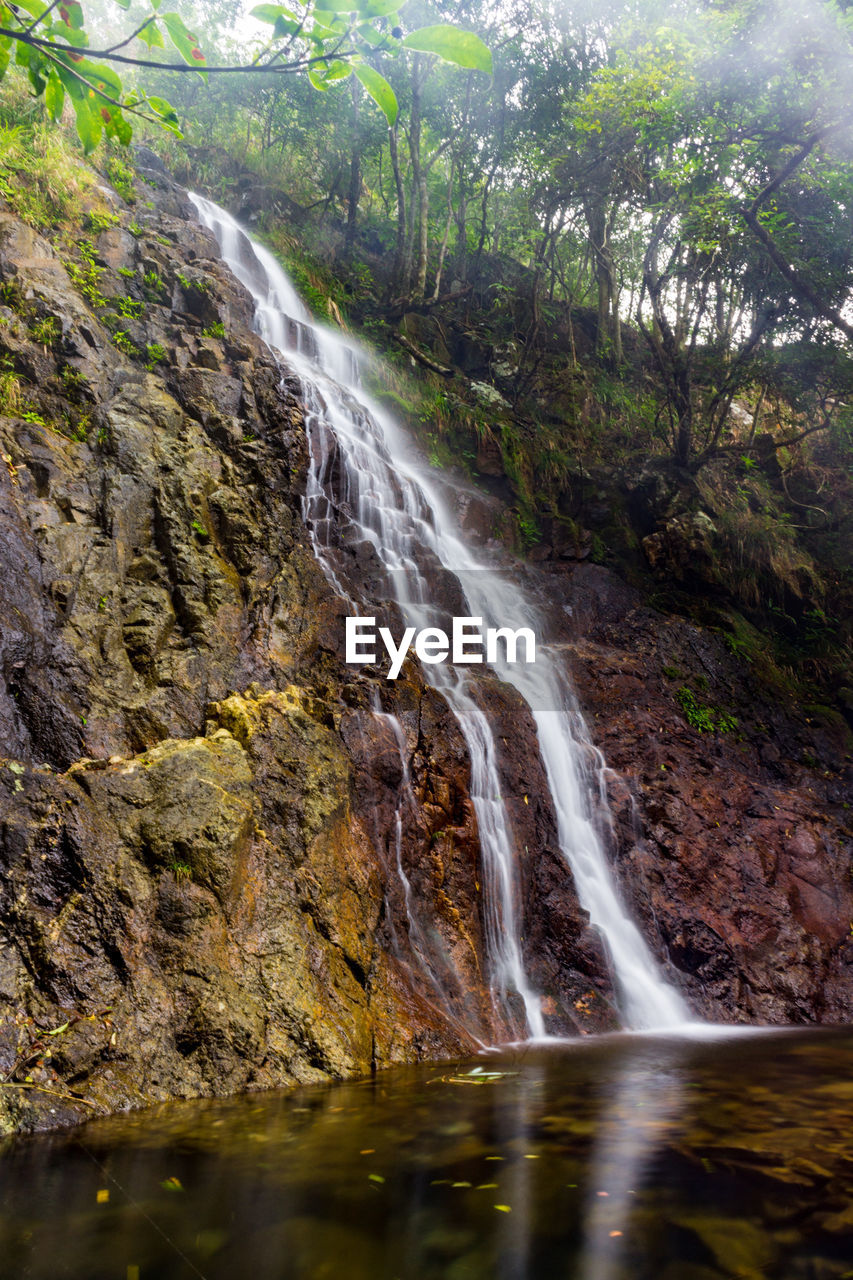 VIEW OF WATERFALL IN FOREST