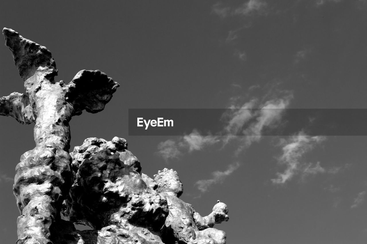 Low angle view of flowers against sky