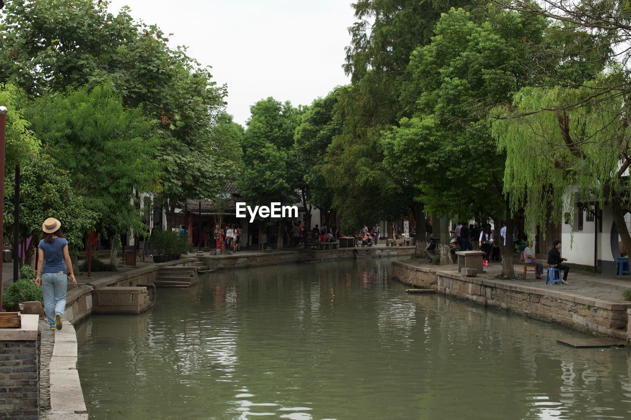 People on riverbank by trees against sky