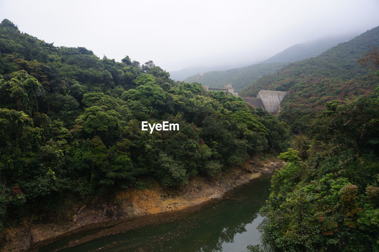 Scenic view of river amidst trees against sky