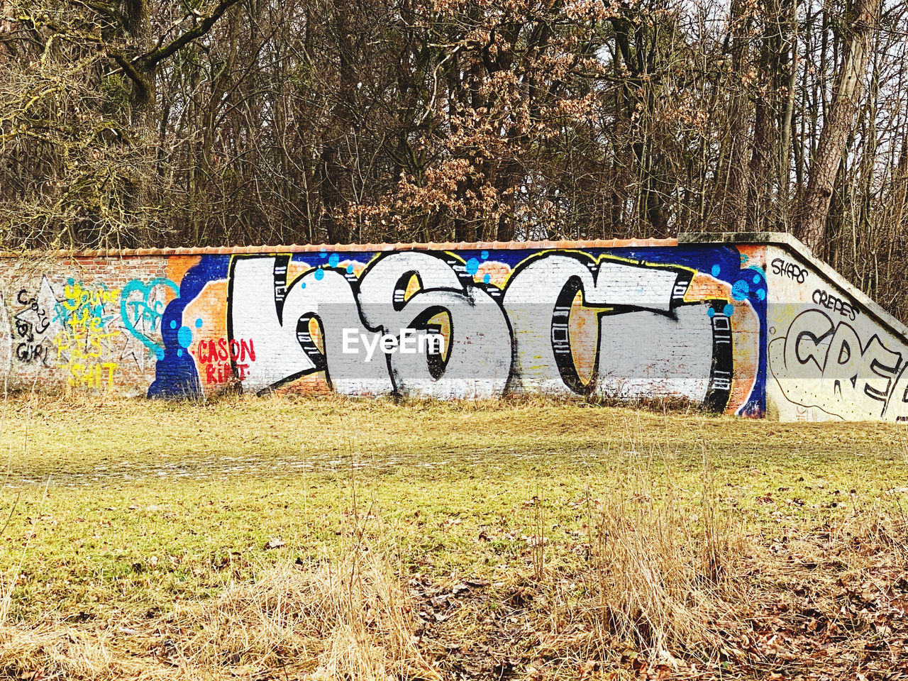 GRAFFITI ON WALL BY TREES AND TEXT ON STREET