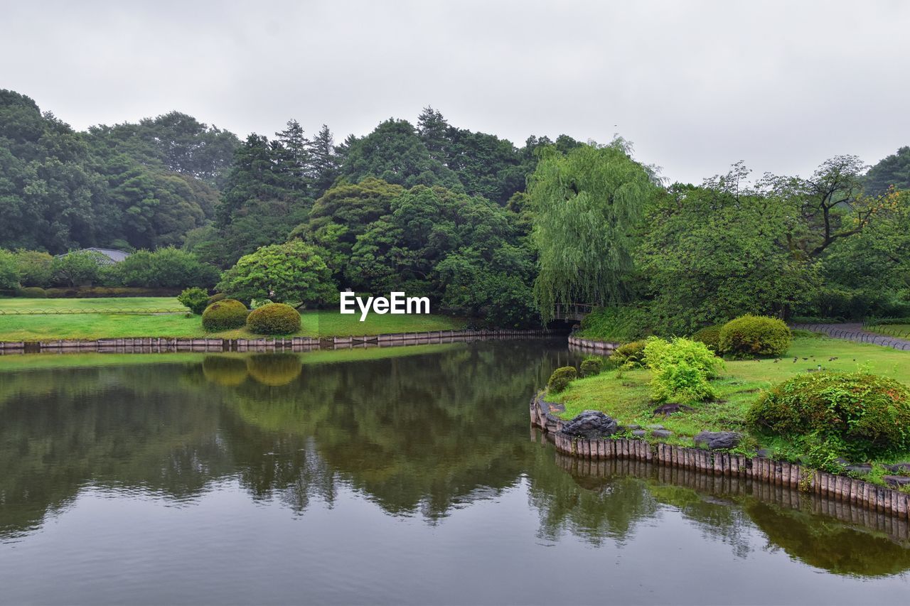 SCENIC VIEW OF LAKE AGAINST TREES AND SKY