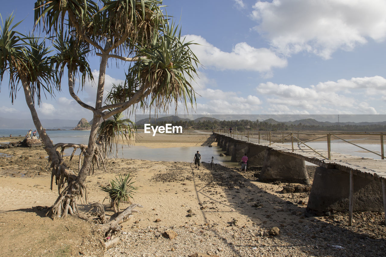 SCENIC VIEW OF BEACH