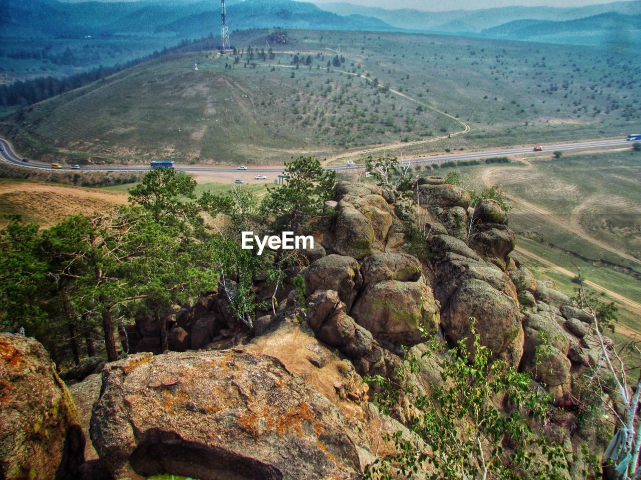 HIGH ANGLE VIEW OF TREES ON LAND