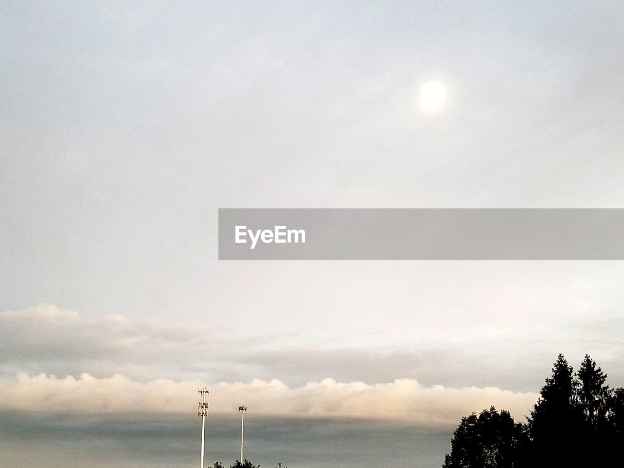 LOW ANGLE VIEW OF TREES AGAINST SKY DURING SUNSET