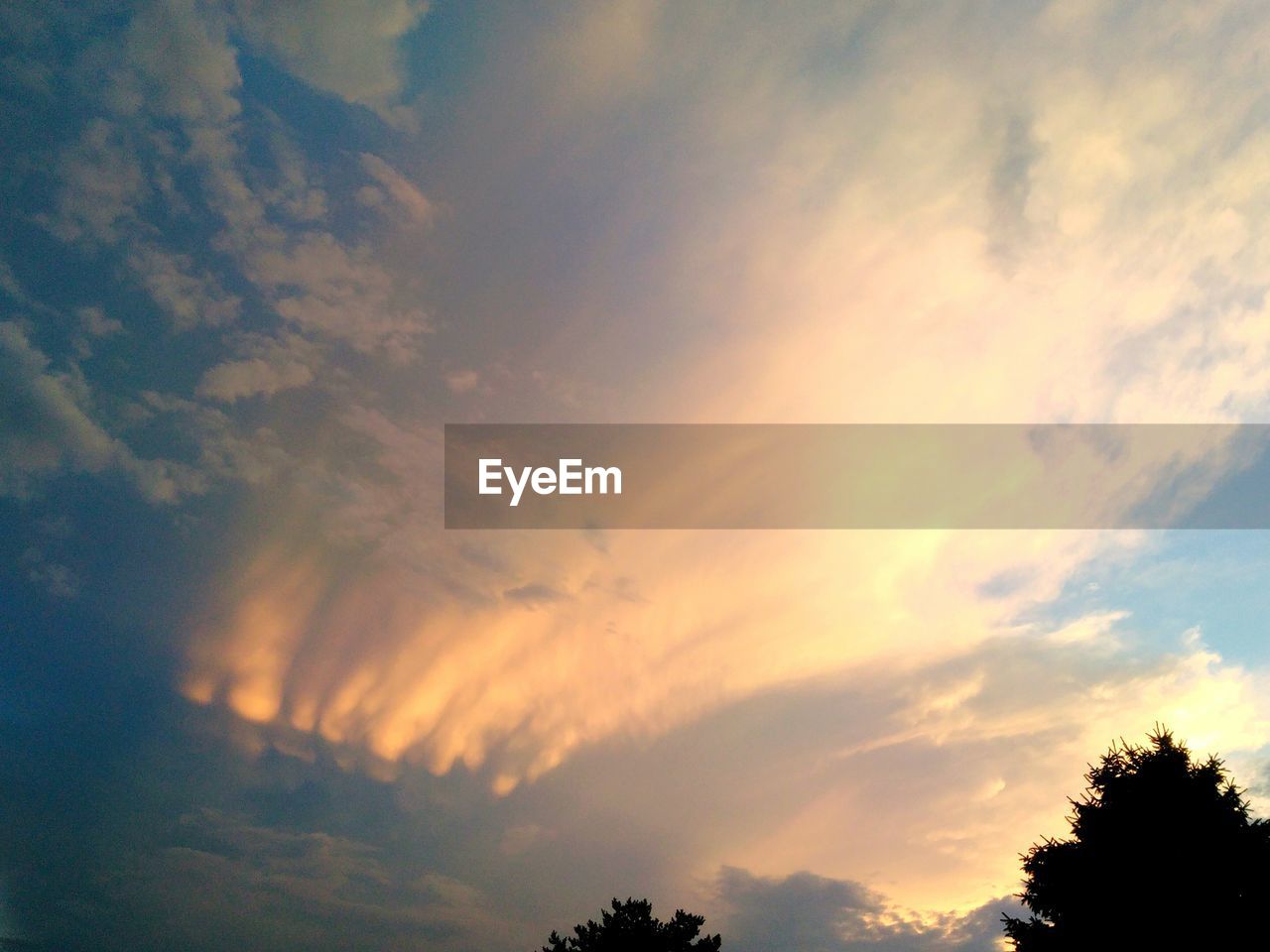 Silhouette of tree against dramatic sky