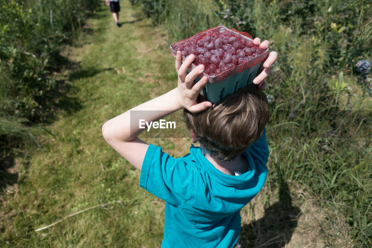 High angle view of boy holding fruits while standing on grassy field