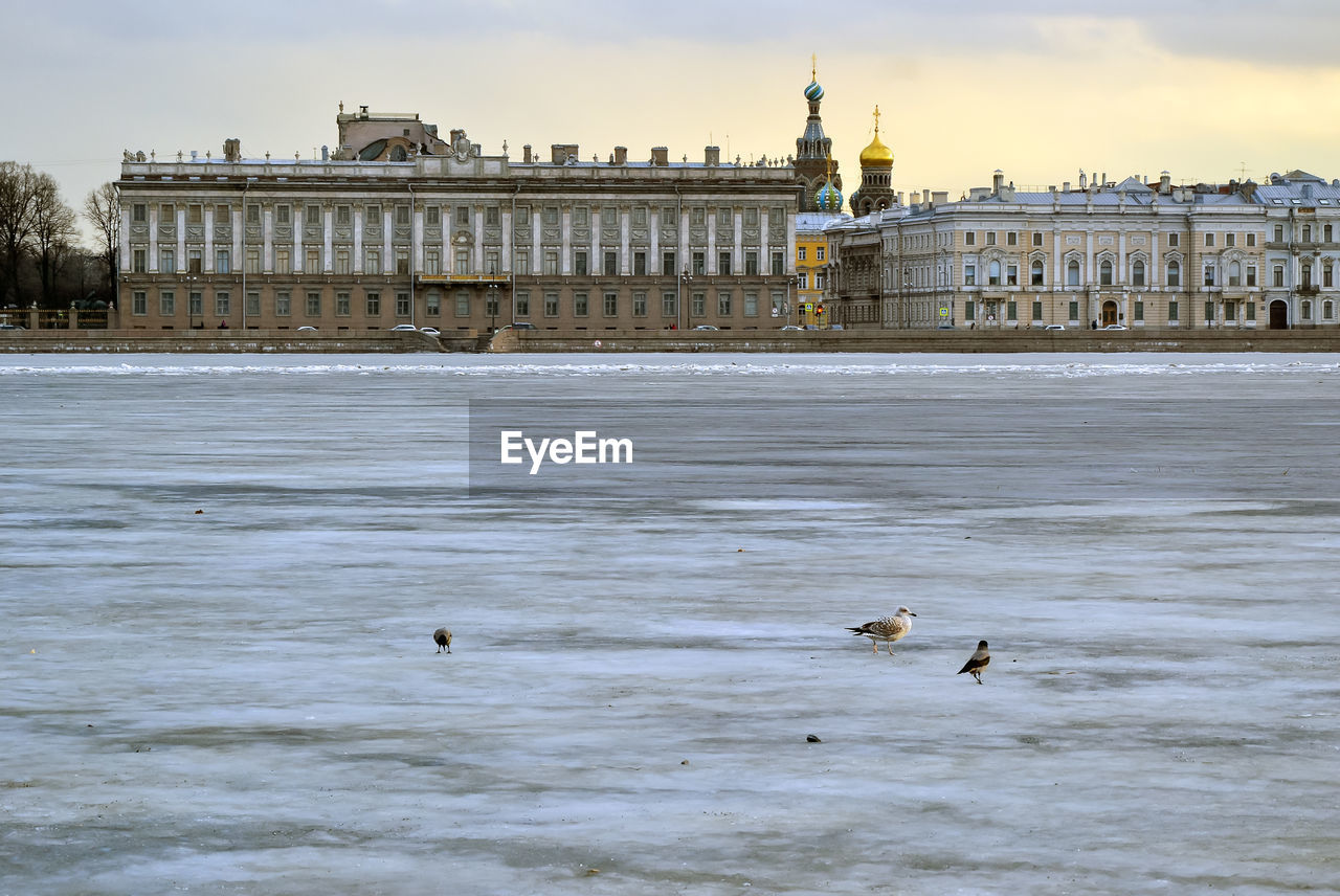 VIEW OF BIRDS ON FROZEN RIVER IN CITY