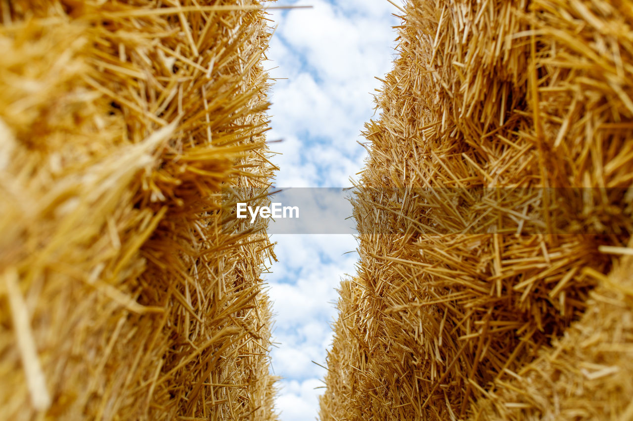 FULL FRAME SHOT OF HAY BALES