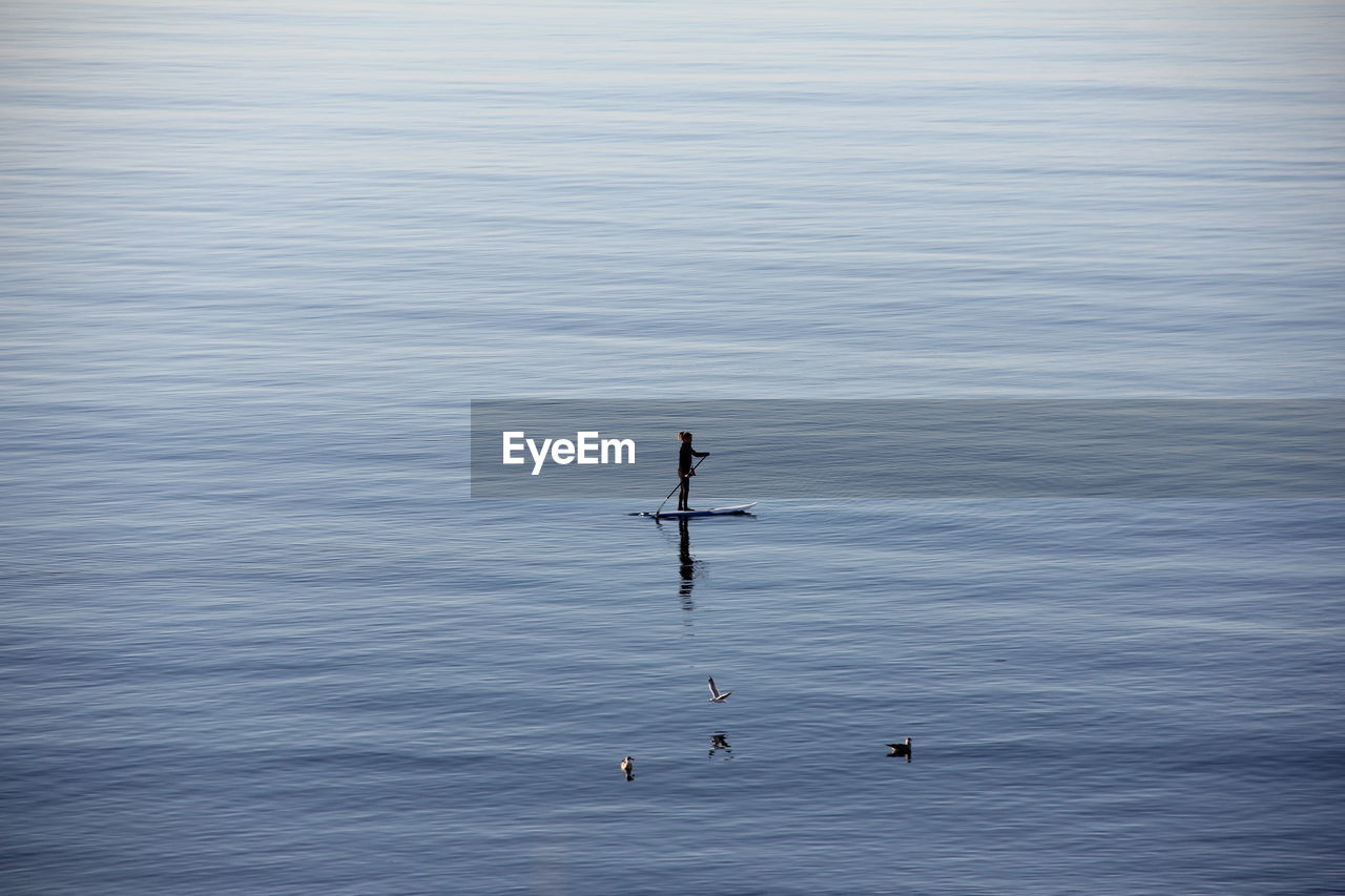 Man paddleboarding in sea