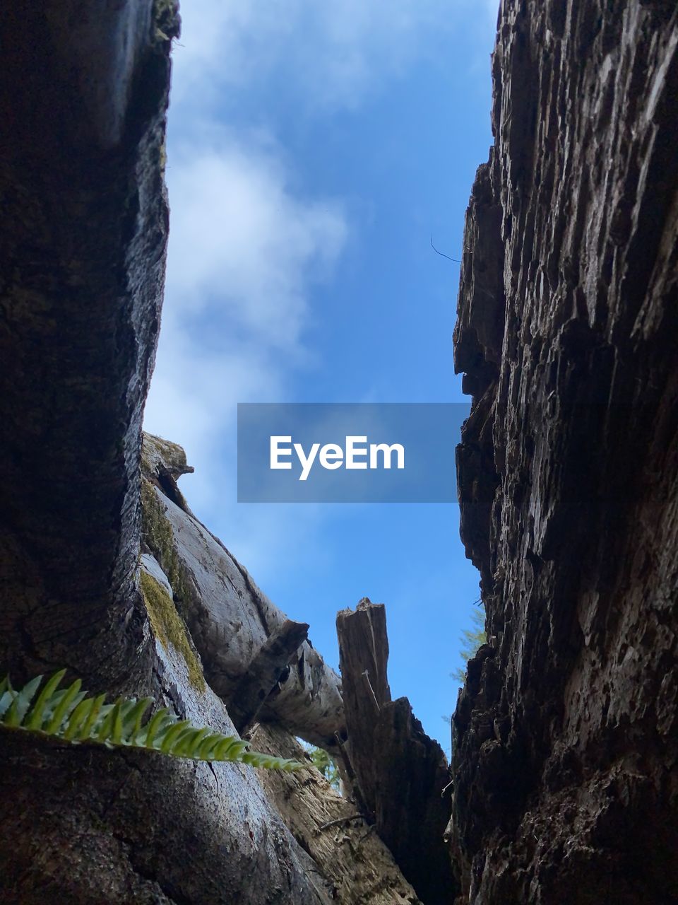 sky, rock, nature, mountain, scenics - nature, beauty in nature, environment, cloud, landscape, land, no people, adventure, travel destinations, outdoors, activity, rock formation, travel, tranquility, geology, day, blue, non-urban scene, terrain, mountain range, leisure activity, architecture, cave, cliff, mountain peak, tree, wilderness