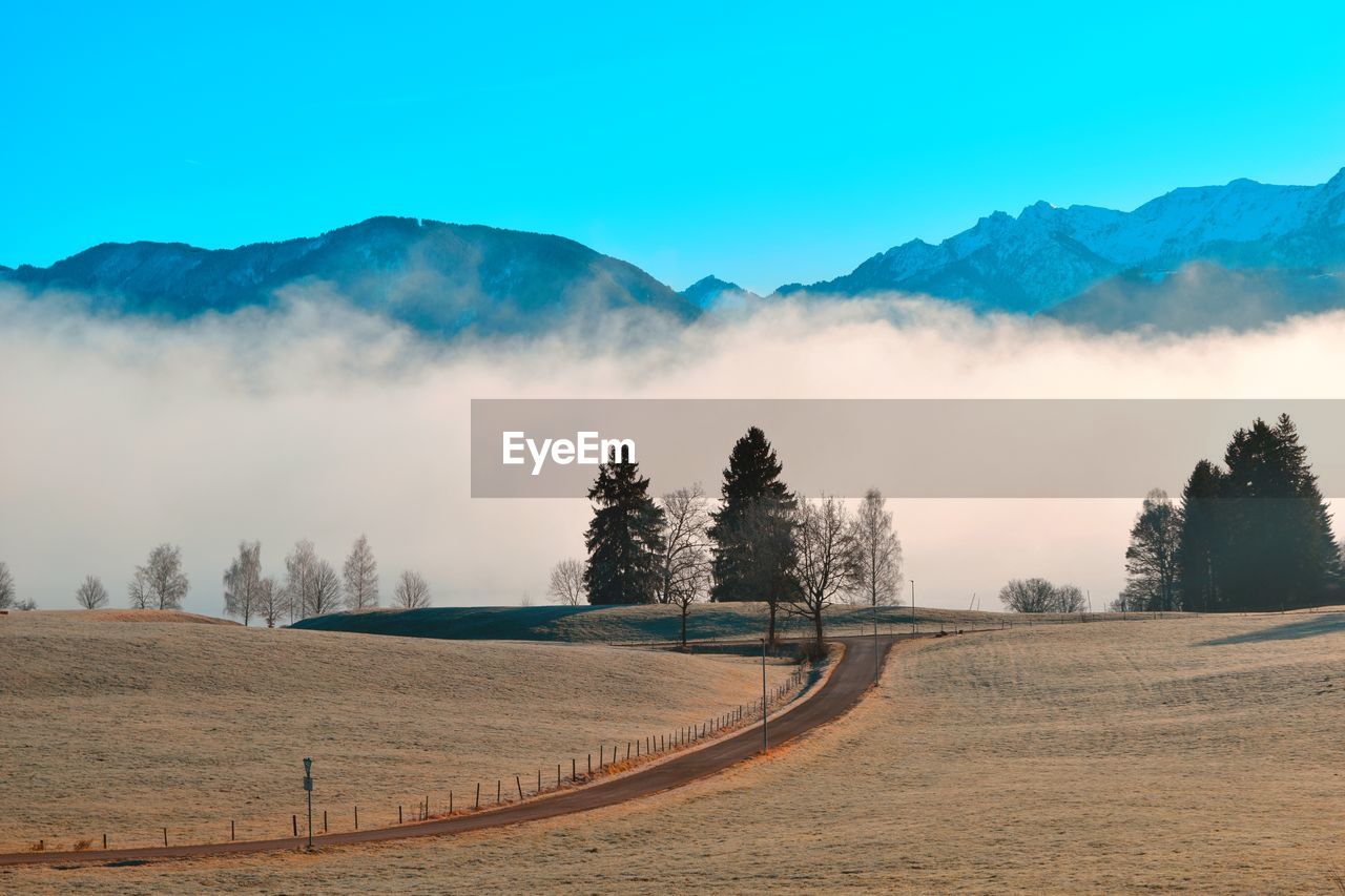 Panoramic shot of trees on field against sky