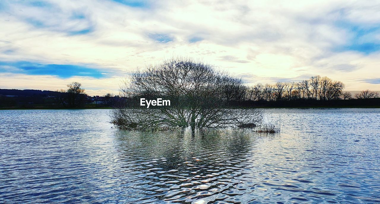 VIEW OF BARE TREES BY LAKE AGAINST SKY