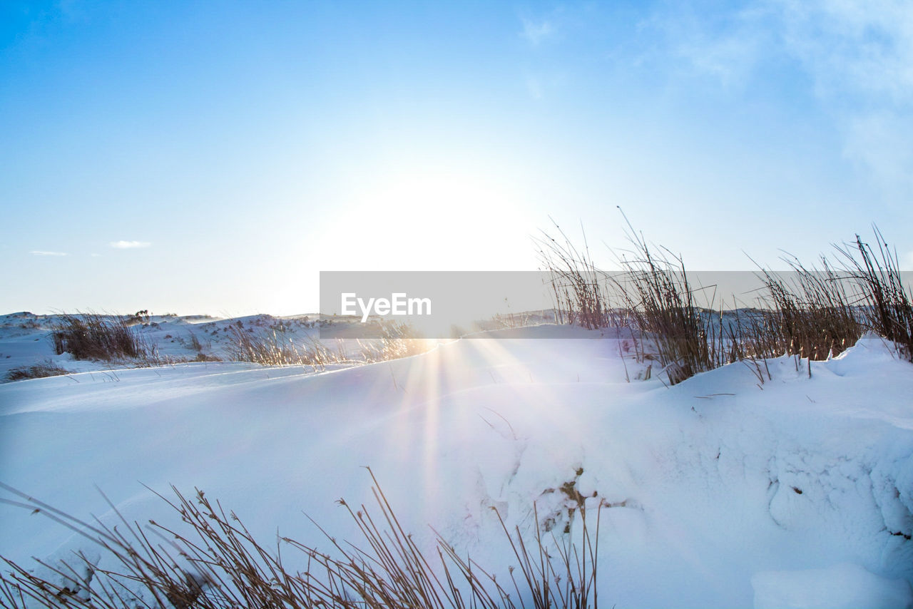 Scenic view of frozen landscape against clear sky during winter