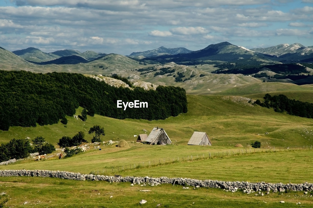 Durmitor national park, montenegro