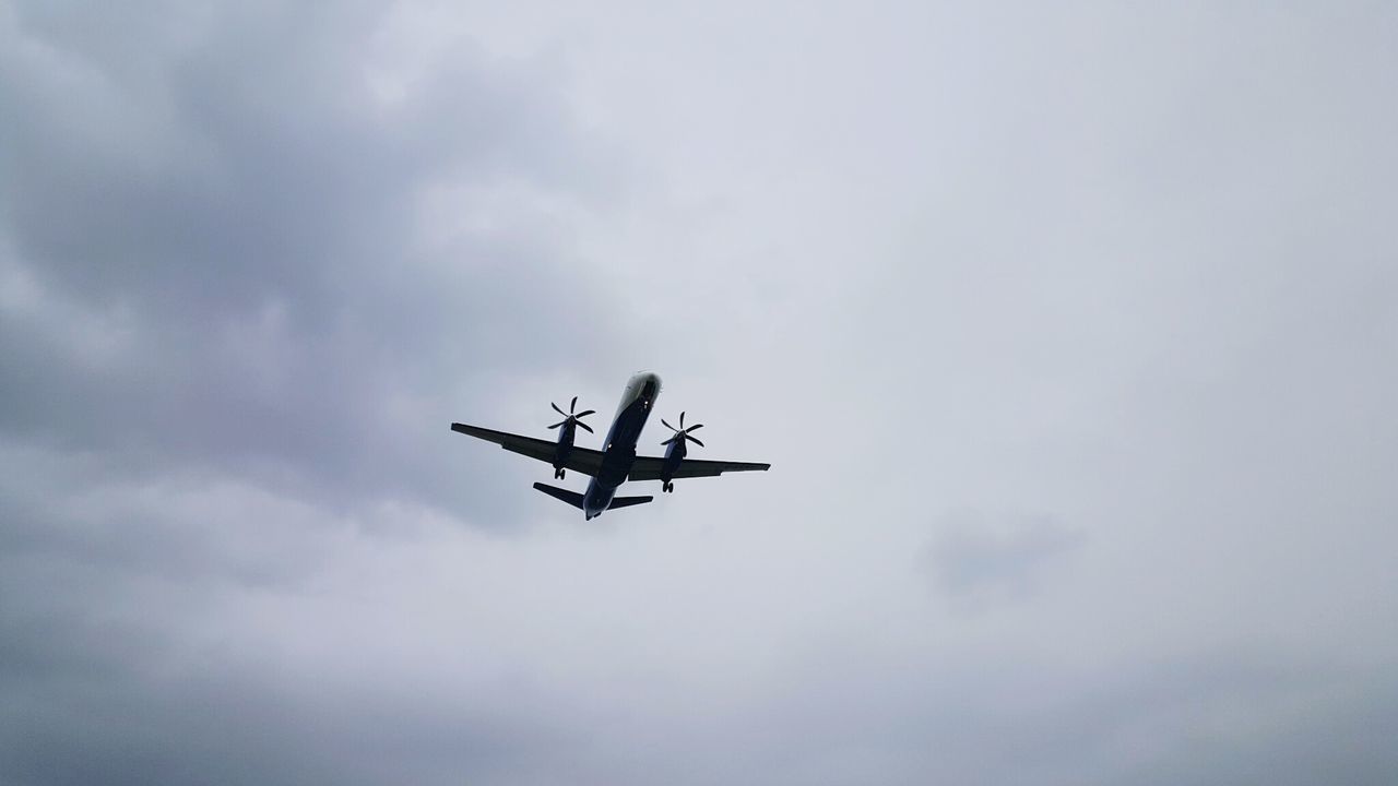 Airplane flying in sky