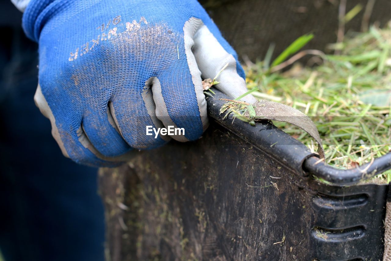 blue, protective glove, green, protection, protective workwear, hand, close-up, nature, one person, day, outdoors, plant, adult, focus on foreground, glove, security, gardening glove, occupation, holding