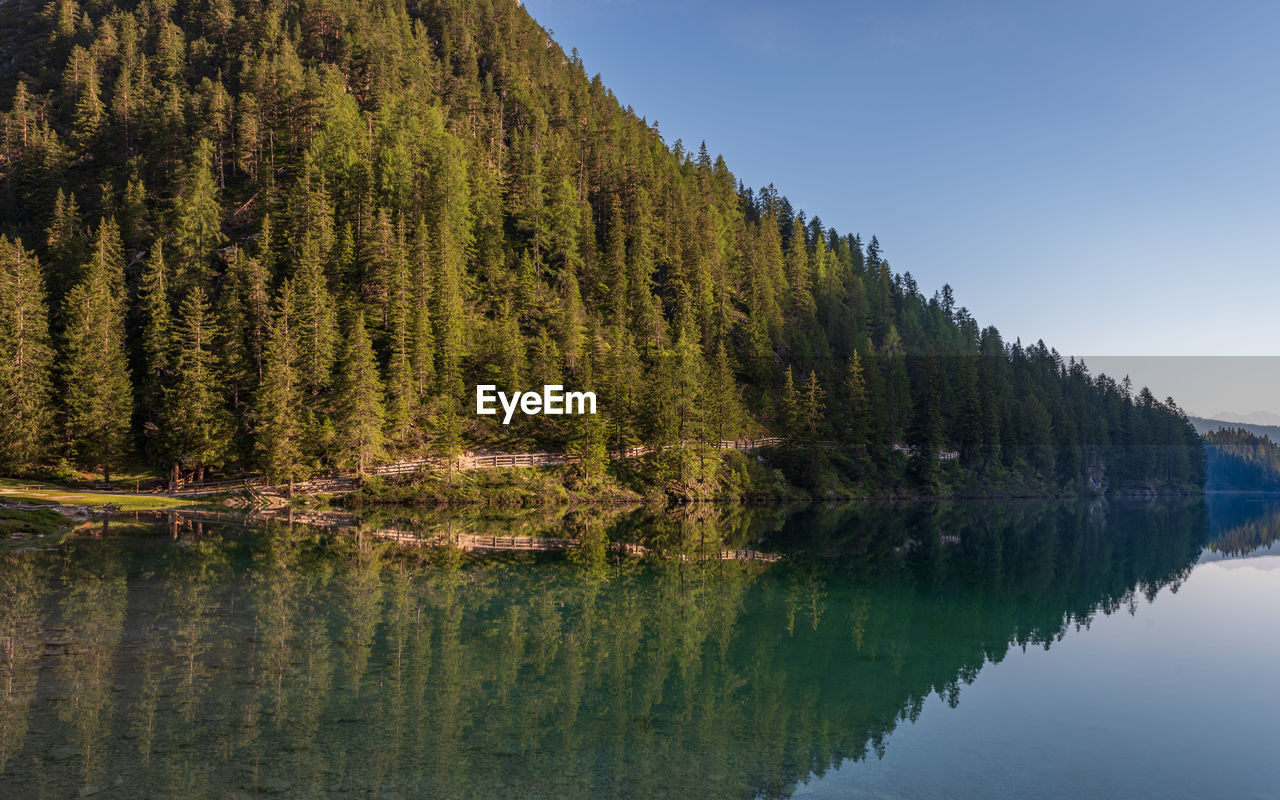 SCENIC VIEW OF LAKE BY TREE AGAINST SKY