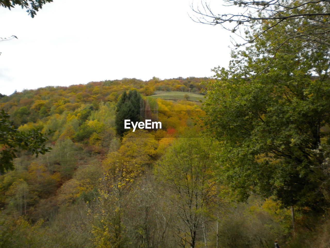 SCENIC VIEW OF MOUNTAINS