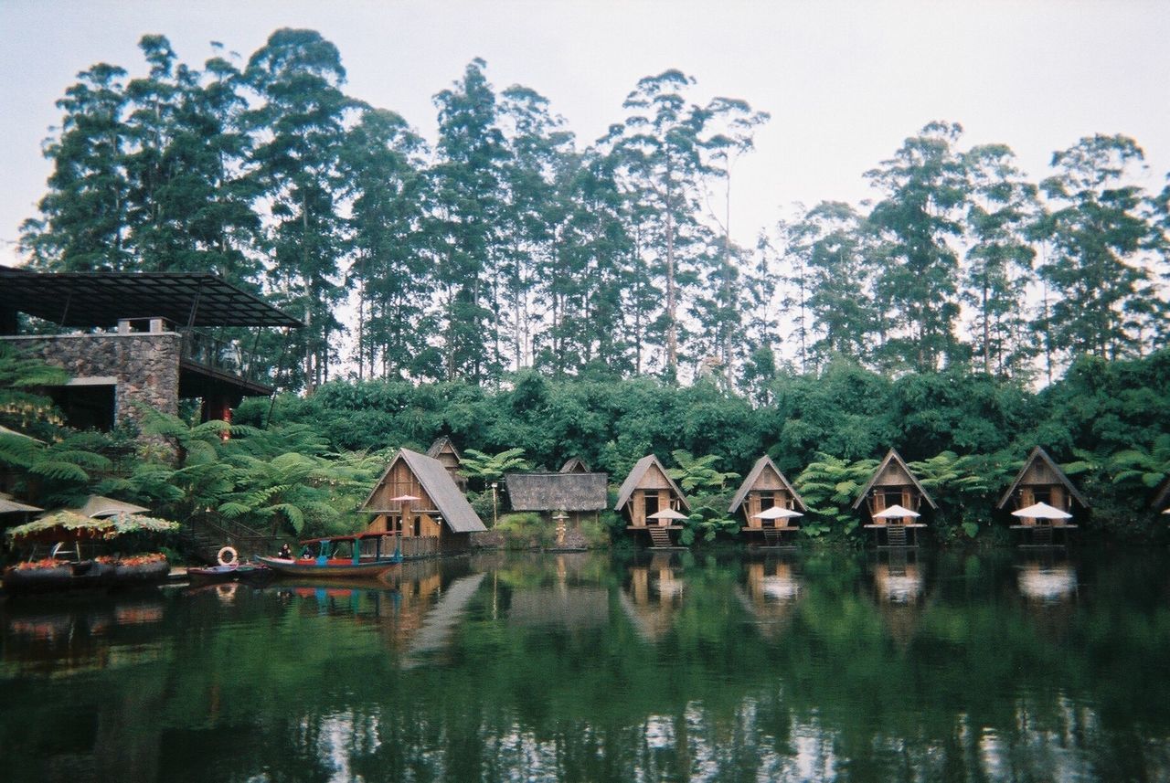 Houses by trees against sky