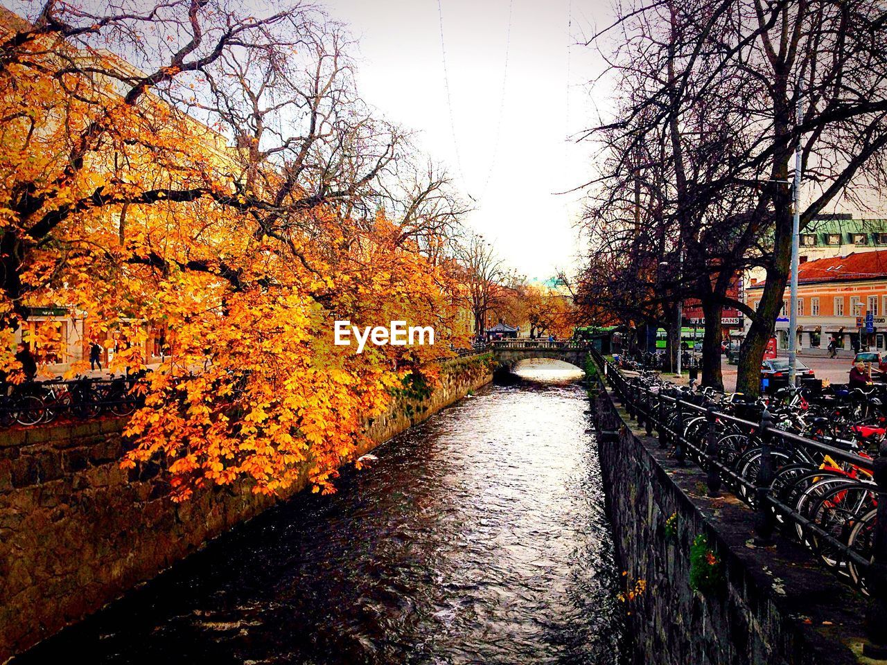 VIEW OF CANAL PASSING THROUGH A FOREST