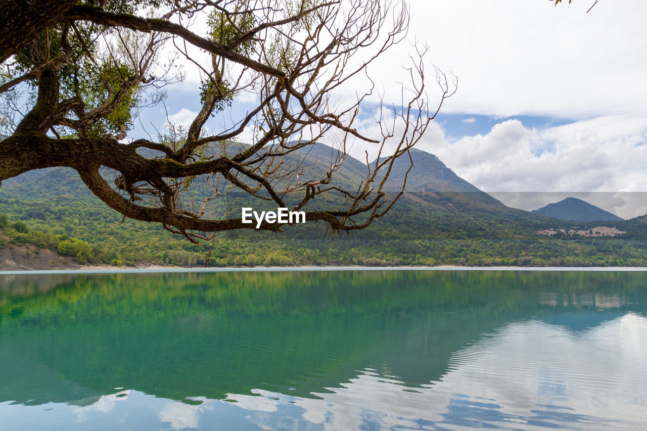 REFLECTION OF TREE IN LAKE AGAINST SKY