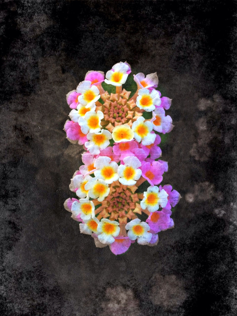MULTI COLORED FLOWERS IN VASE
