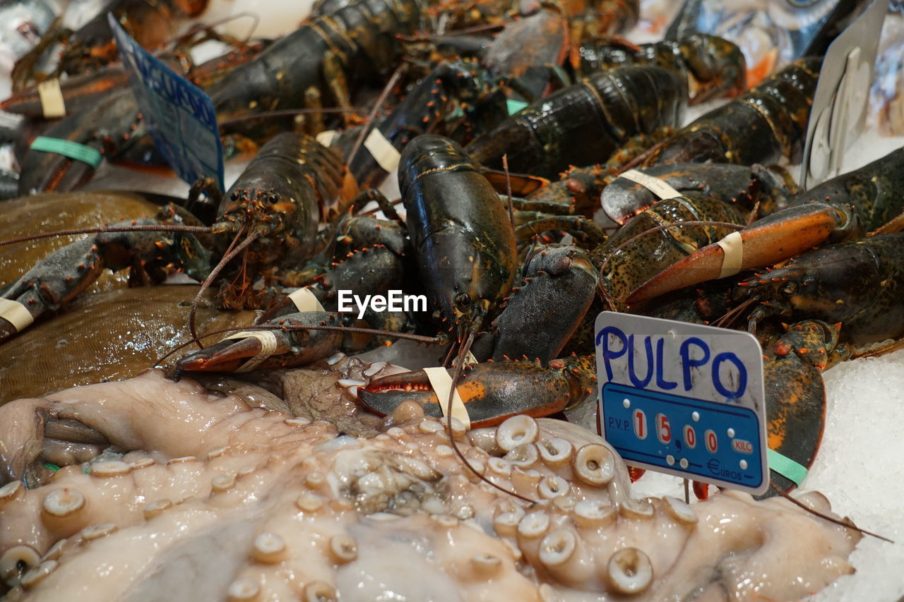 VIEW OF FISH FOR SALE AT MARKET