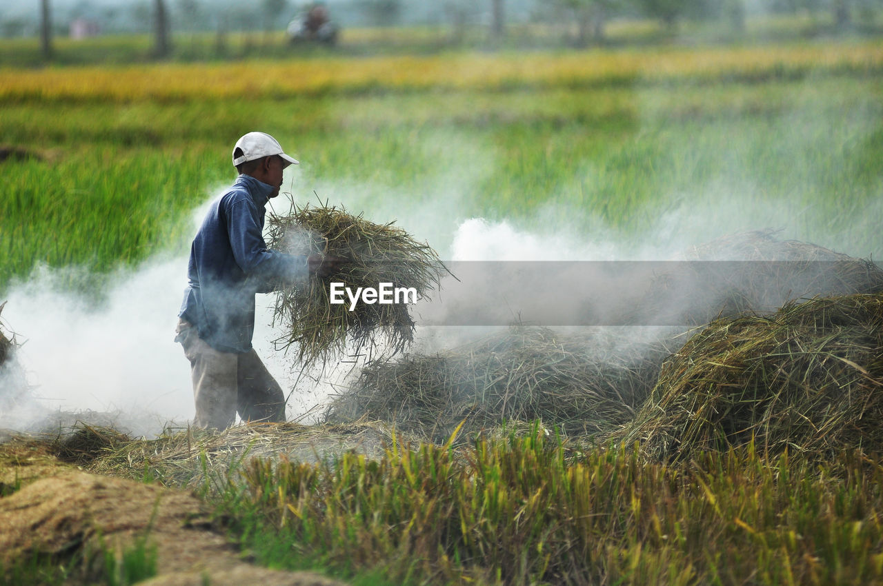 A farmer burns straw after harvesting rice in klumprit village, cilacap, central java, indonesia.