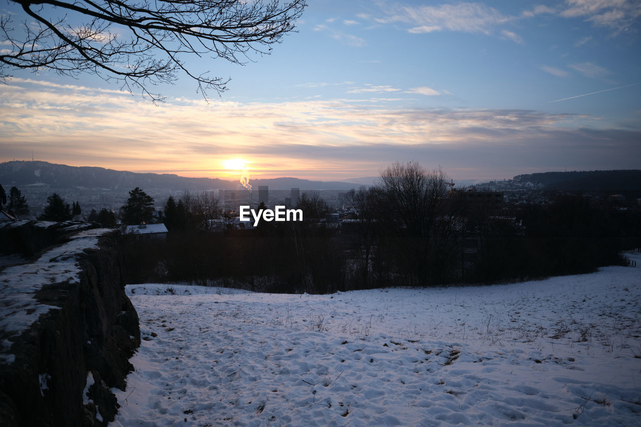 TREES ON SNOW COVERED FIELD AGAINST SKY AT SUNSET