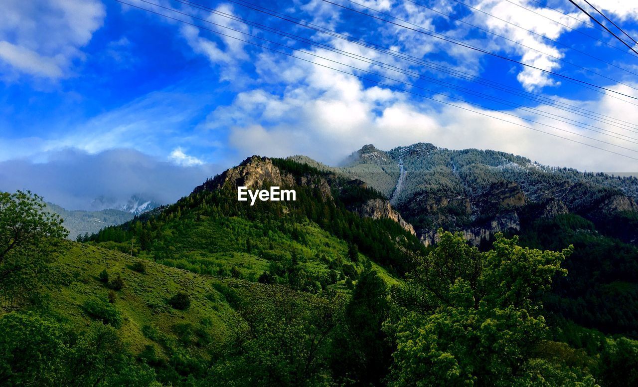 SCENIC VIEW OF TREES AND MOUNTAINS AGAINST SKY