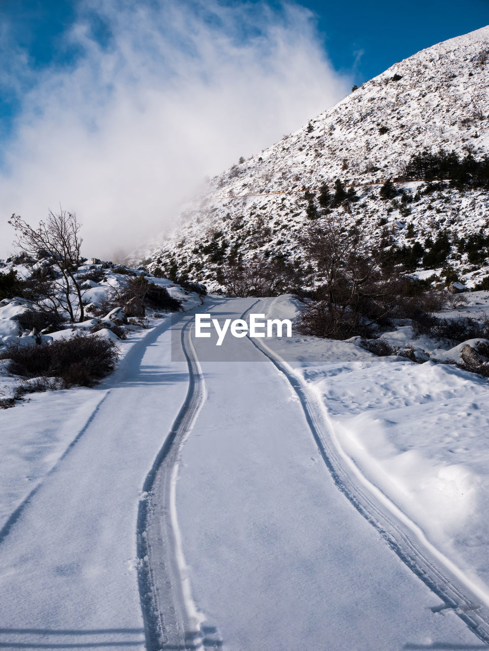 Snow covered road by trees against sky