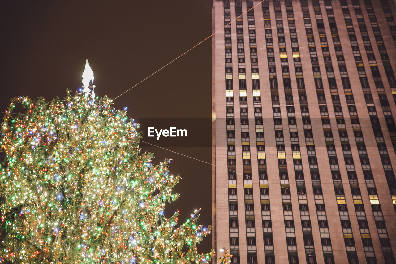 LOW ANGLE VIEW OF ILLUMINATED CHRISTMAS TREE AGAINST SKY