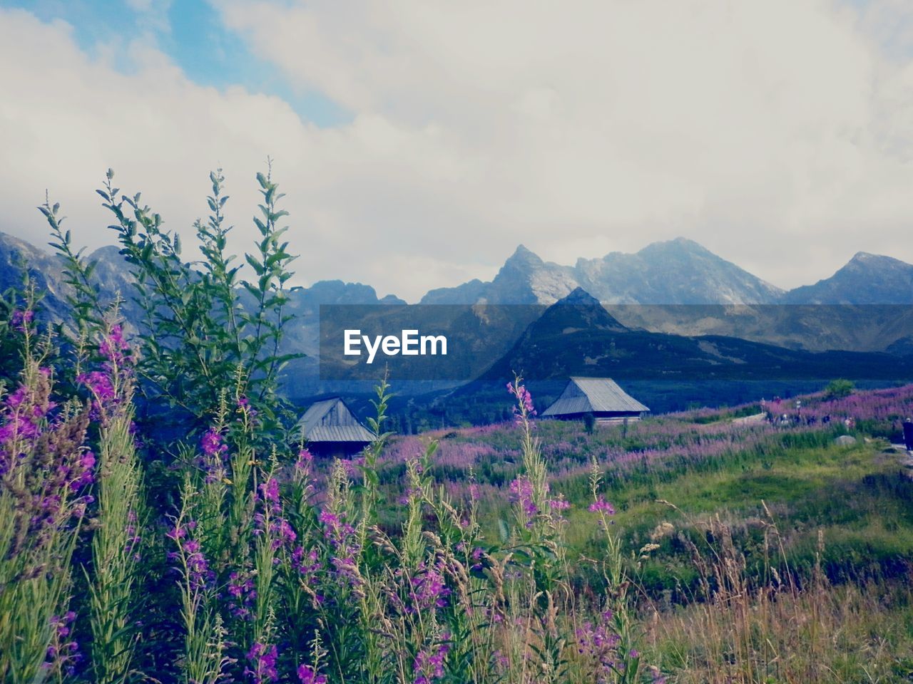 Scenic view of mountains against cloudy sky