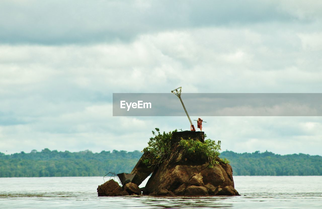 PERSON BY TREE AGAINST SEA