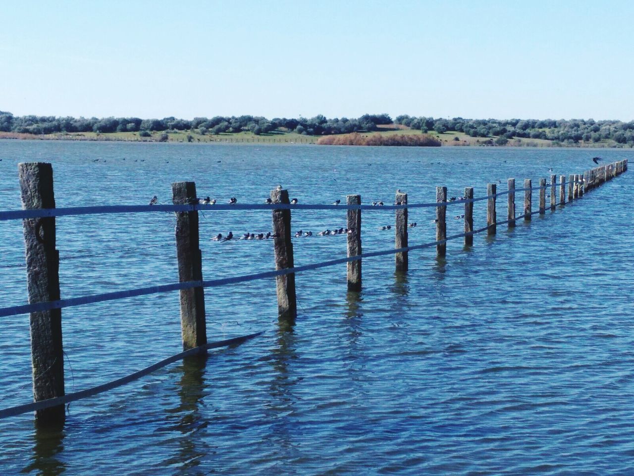 WOODEN POSTS IN SEA AGAINST SKY