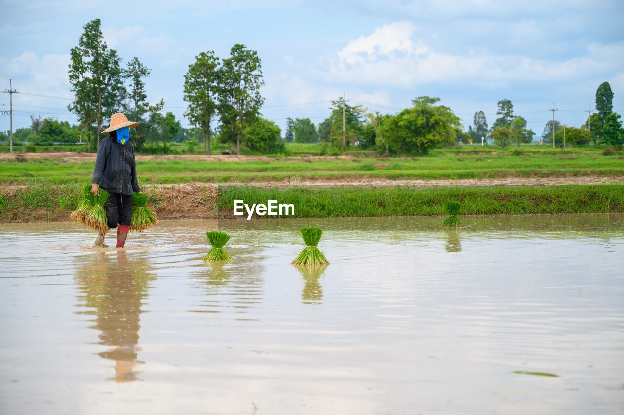 REAR VIEW OF MAN STANDING ON FIELD BY WATER