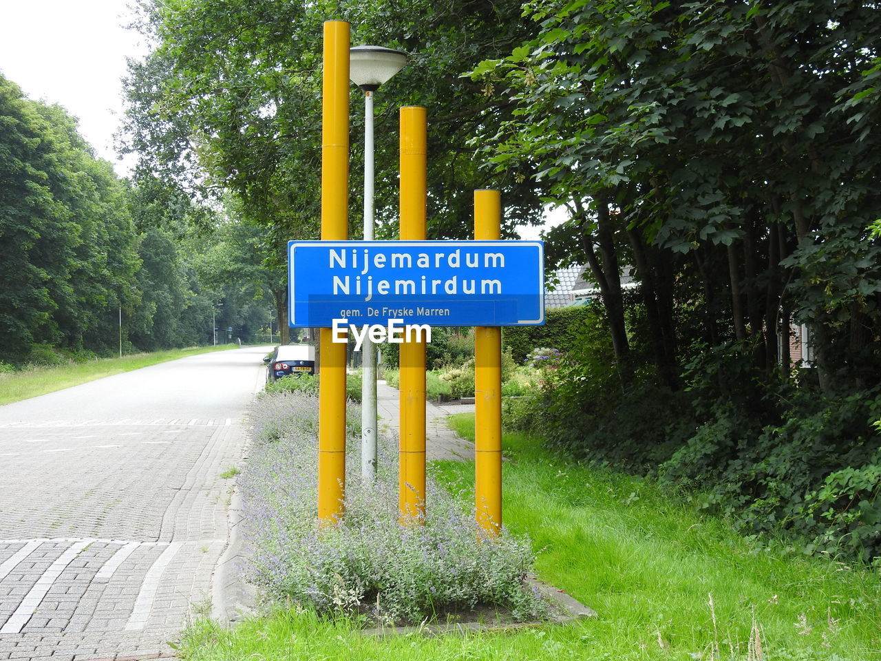 Road sign against trees