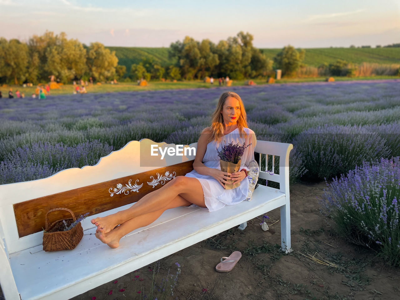 Blonde woman in white dress resting on a white bench placed in a field of lavender flowers