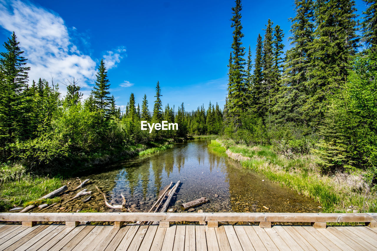 Scenic view of lake by trees against sky