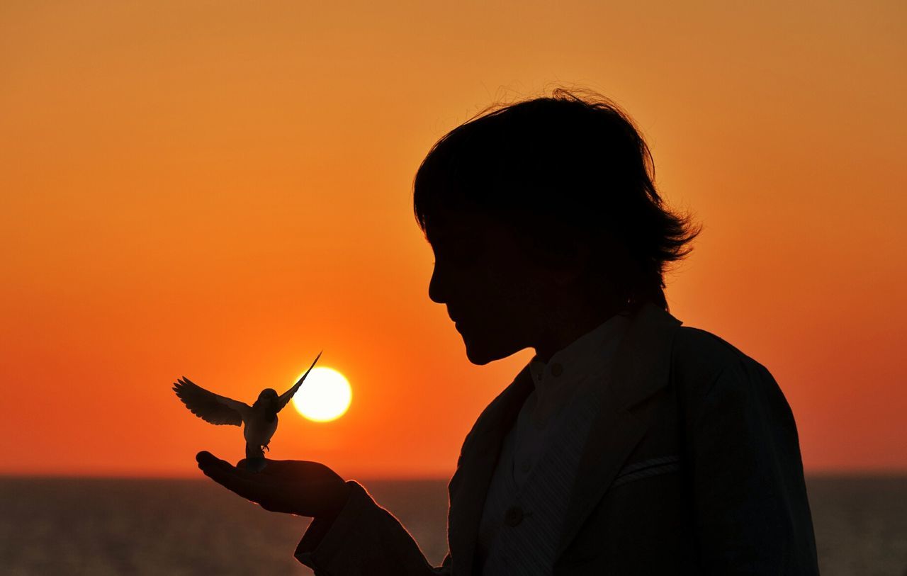 Silhouette of person holding bird with sunset in background