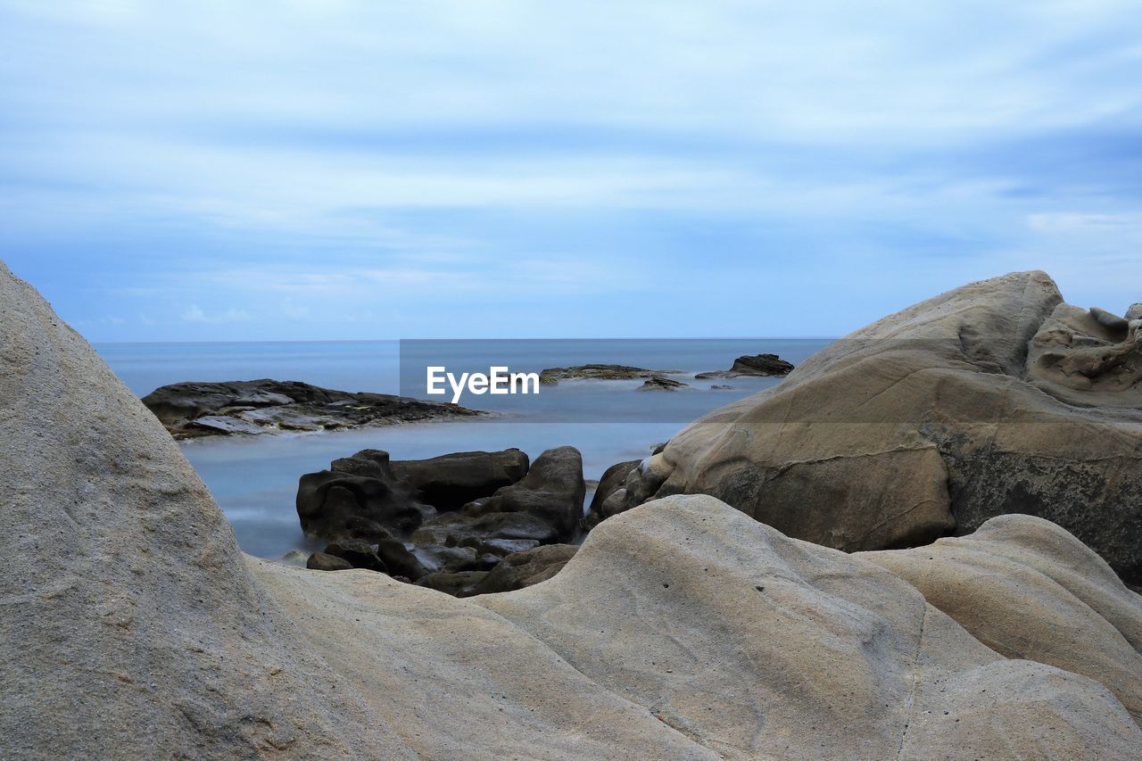 View of dog on rock by sea against sky