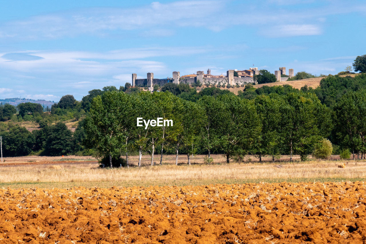 TREES GROWING ON FIELD AGAINST BUILDINGS