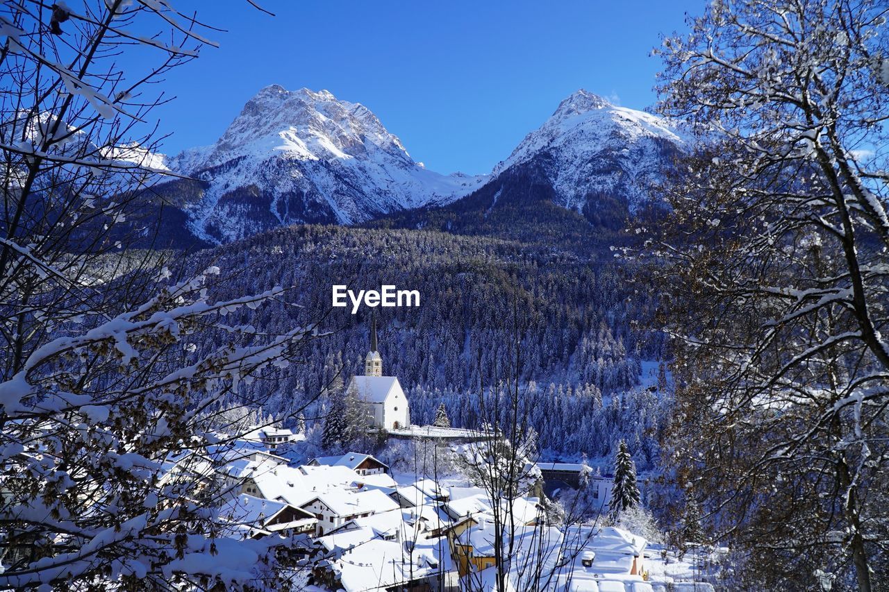 Snow covered trees and buildings against sky