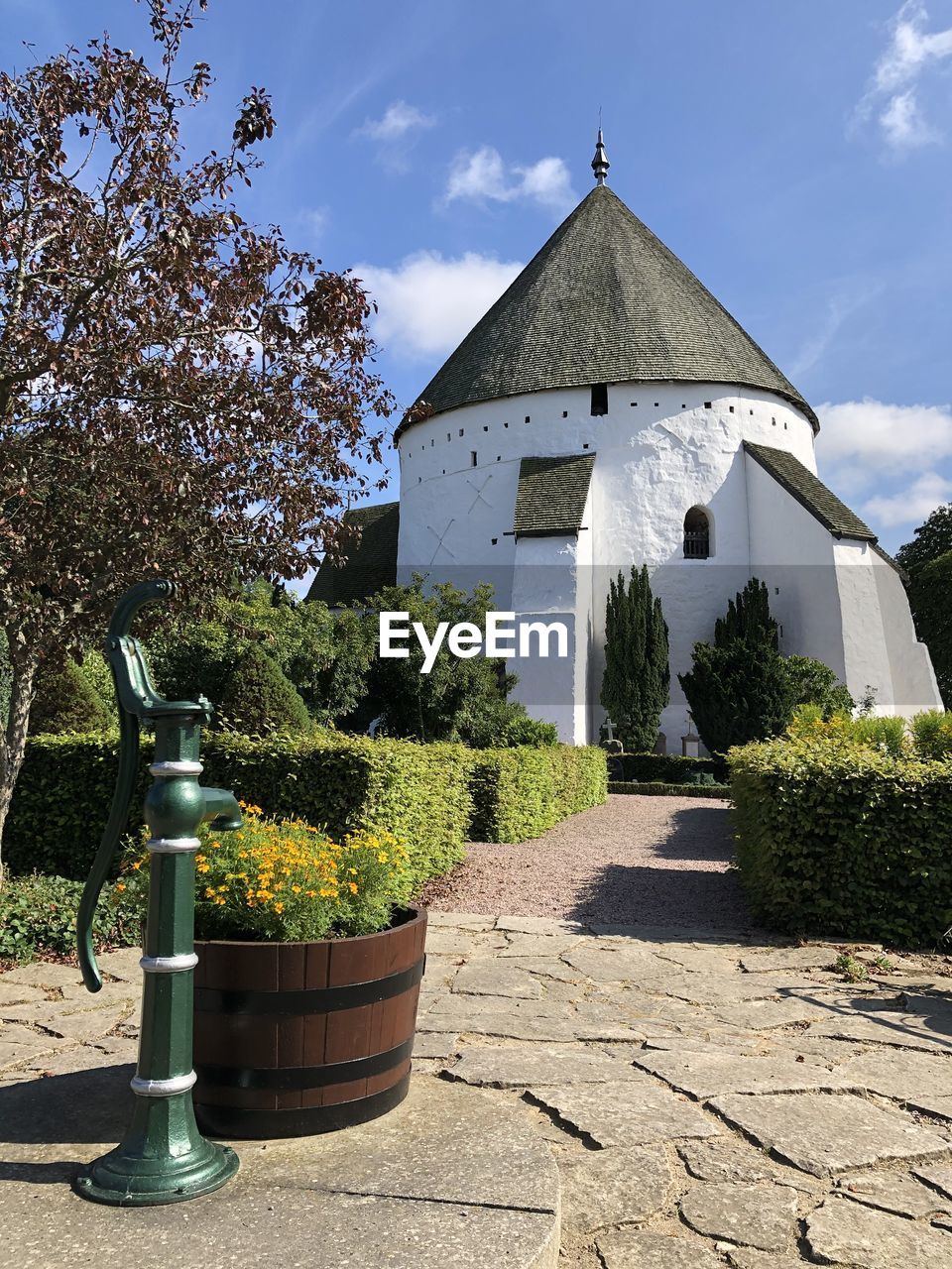 PLANTS BY TREES AGAINST BUILDING