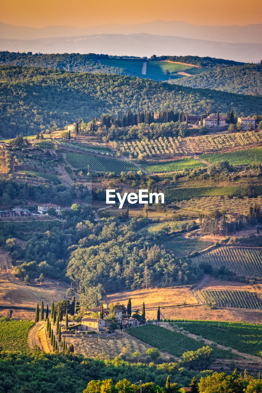 Golden hour in tuscany - toscana - italy