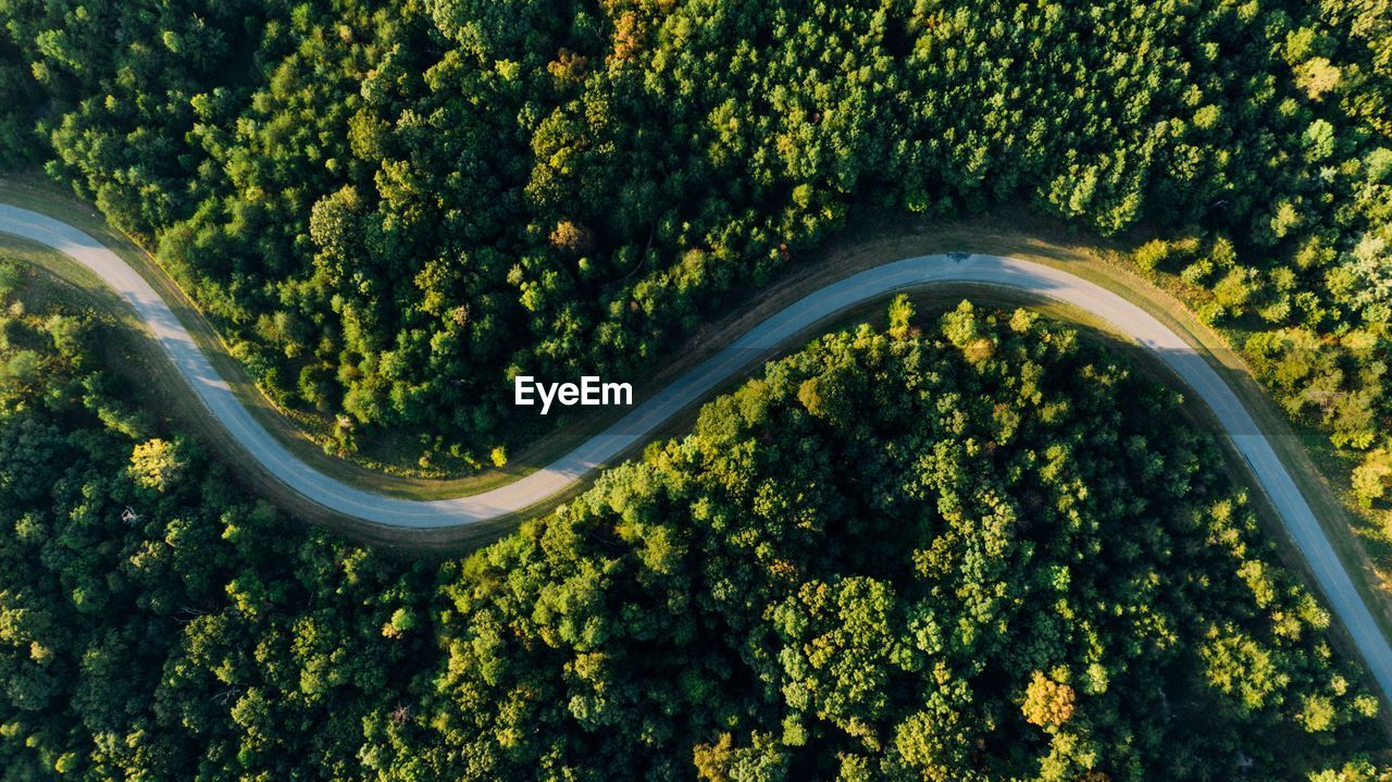 Aerial photo of empty meandering road in between forest.