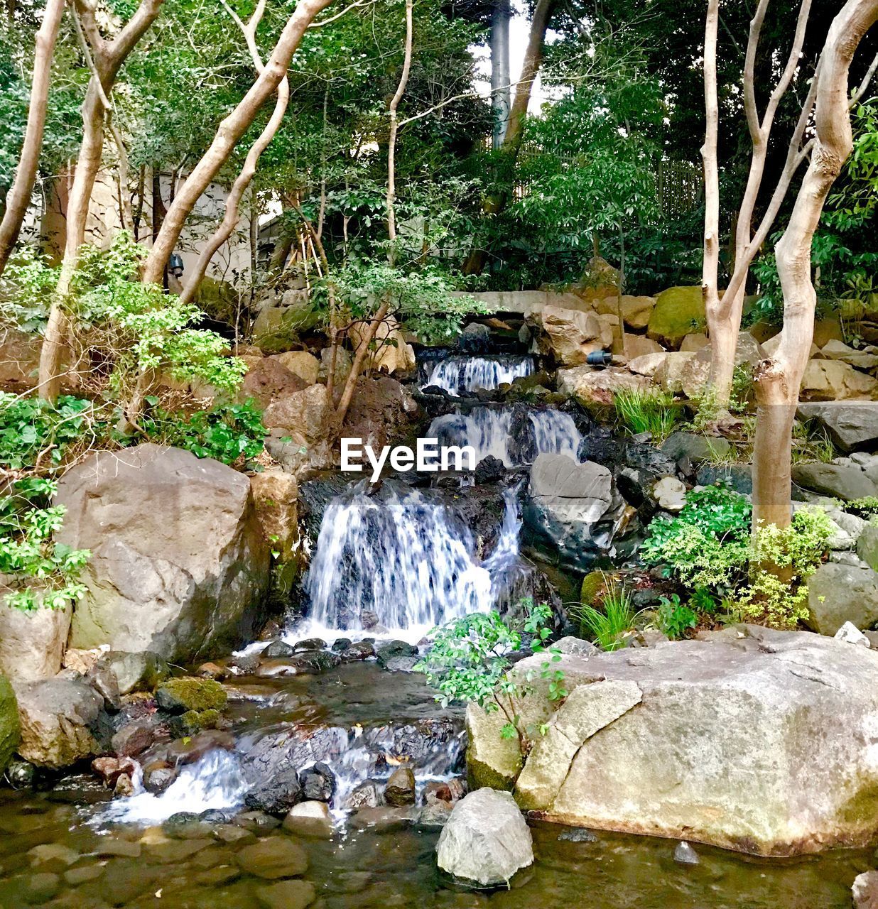 WATERFALL IN FOREST