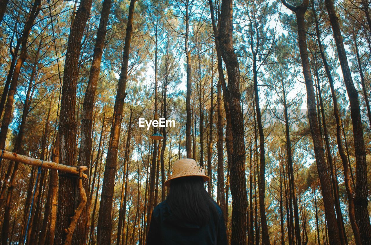 Low angle view of woman standing in forest